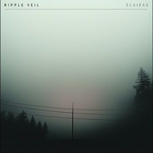 想看做爱视频下载那个软件
