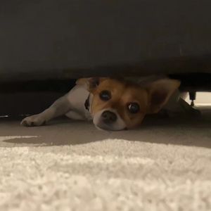 想看做爱视频下载那个软件
