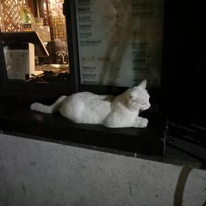 想看做爱视频下载那个软件
